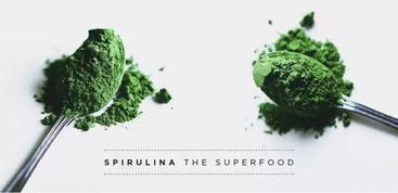 超級食材,拯救節后 胖三斤