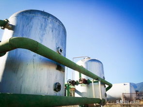 第三屆程海水環境保護研討會召開 綠a增殖放流助力程海湖環保發展