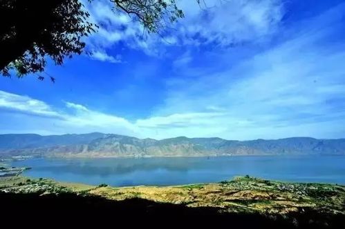 麗江特產 永勝程海螺旋藻