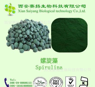 【【薦】廠家直銷 批發(fā) 螺旋藻 螺旋藻粉 綠色天然 保健食品原】價格_廠家_圖片 -