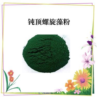 鈍頂螺旋藻粉