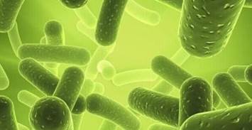 螺旋藻營養(yǎng)素全解析