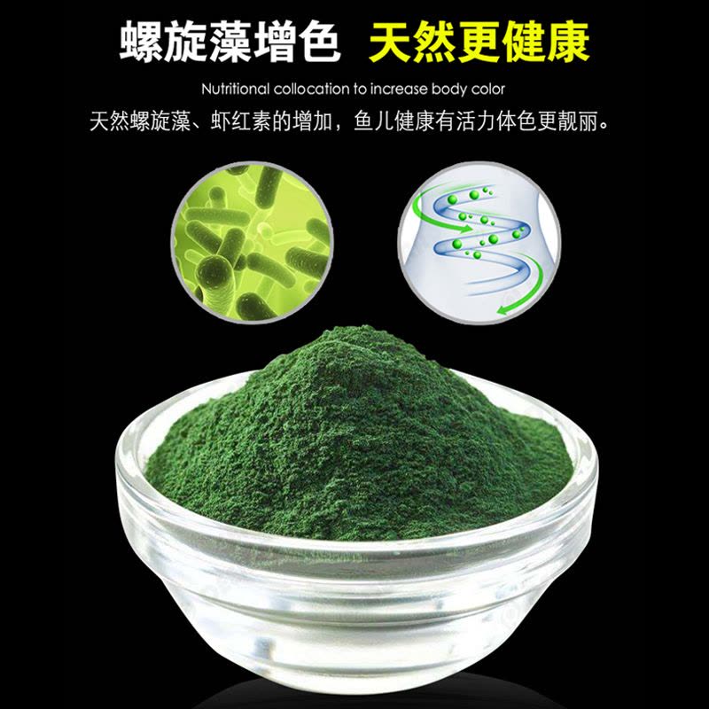 精選螺旋藻魚糧 為您的錦鯉、金魚、血鸚鵡等愛魚賦能增色